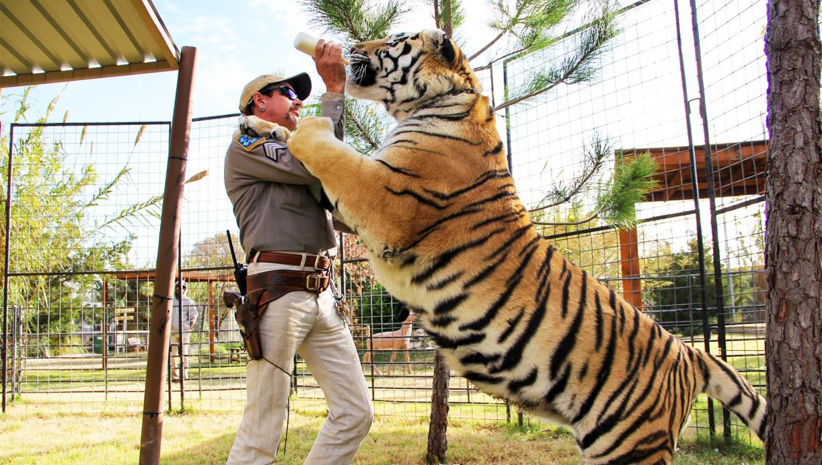 Tiger King: presto un nuovo Episodio della Docu-serie targata Netflix